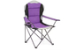 余暇のキャンプのパッドを入れられた椅子のピクニック快適な補強された肘掛け椅子
