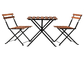1つのテーブルおよび2脚の椅子は屋外の庭の木製の上の金属フレームの折りたたみを置いた